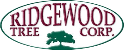 Ridgewood Tree Corp