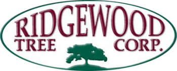 ridgewood_tree_logo